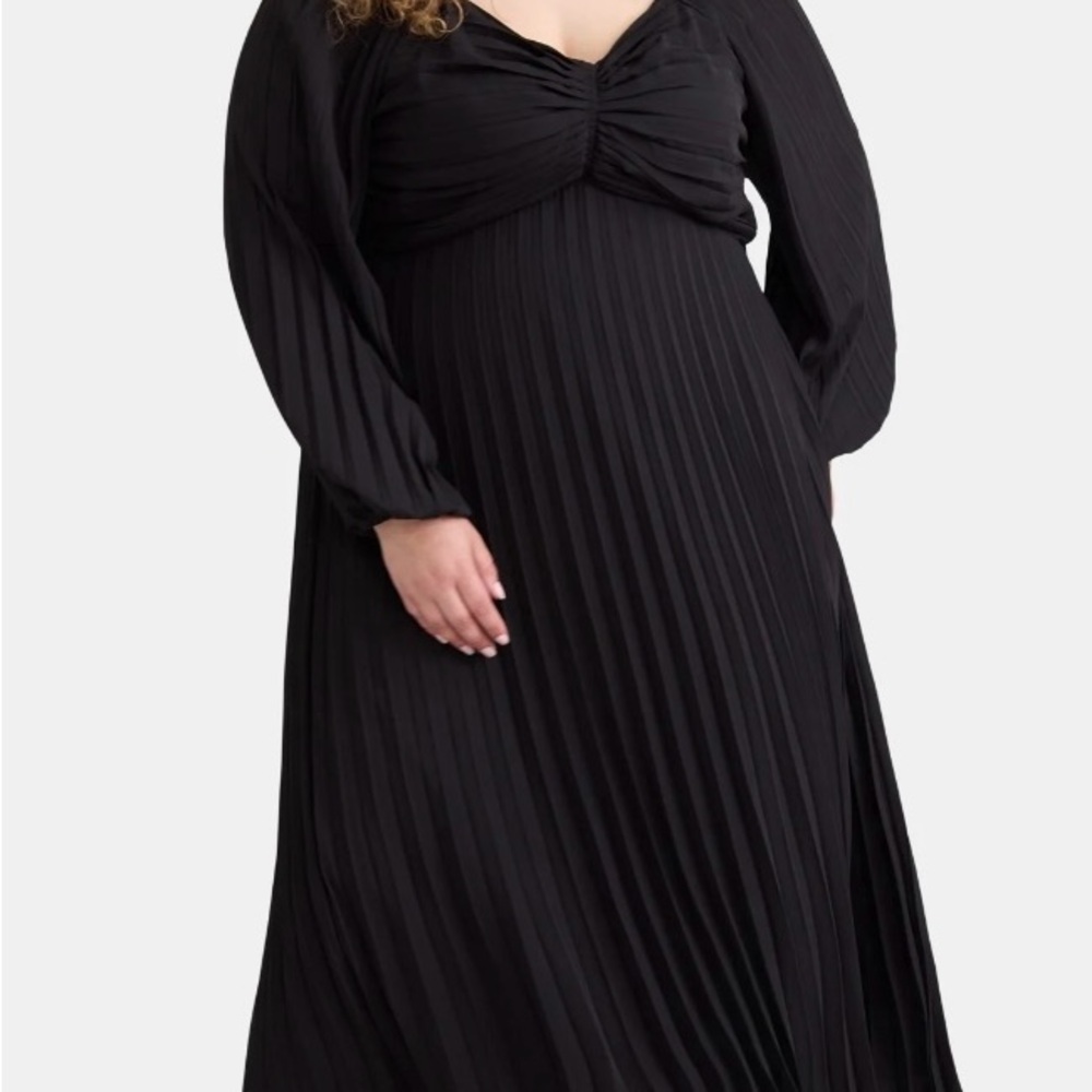 NWT Terra & Sky Elegant Black Pleated Dress